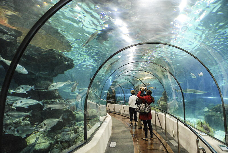 Barcelona aquarium