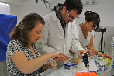 LINVforROS team preparing samples