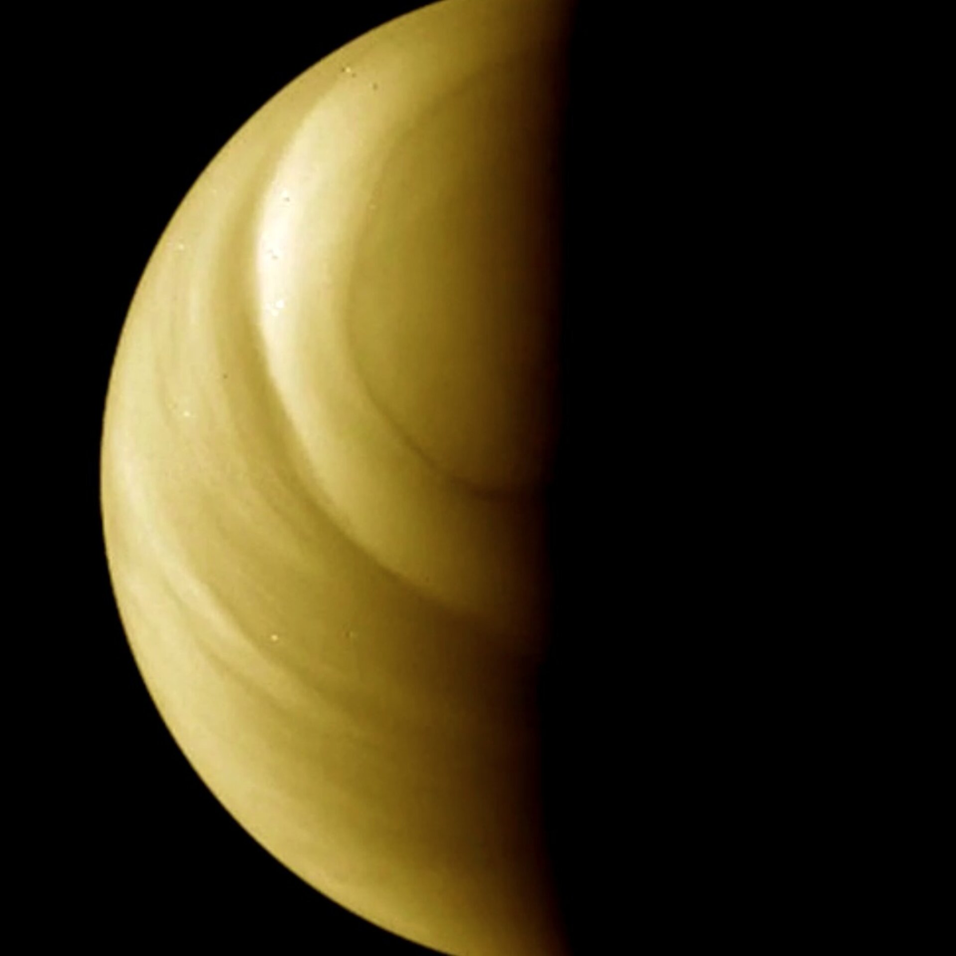 Visiting Venus