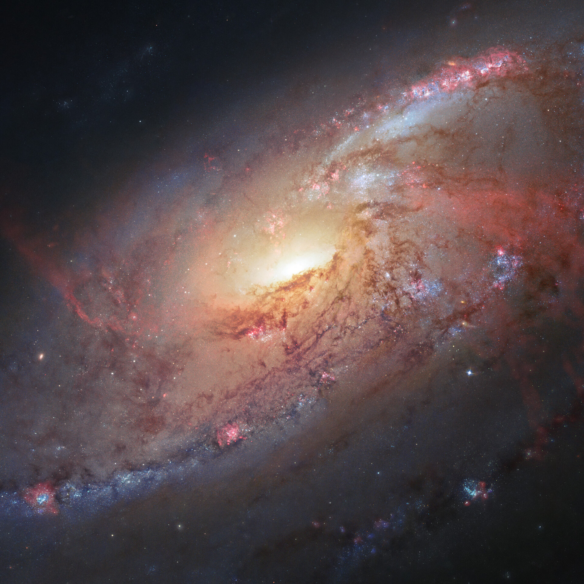 Hubble view of M 106