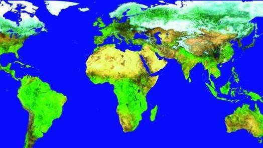 10-day Vegetation product