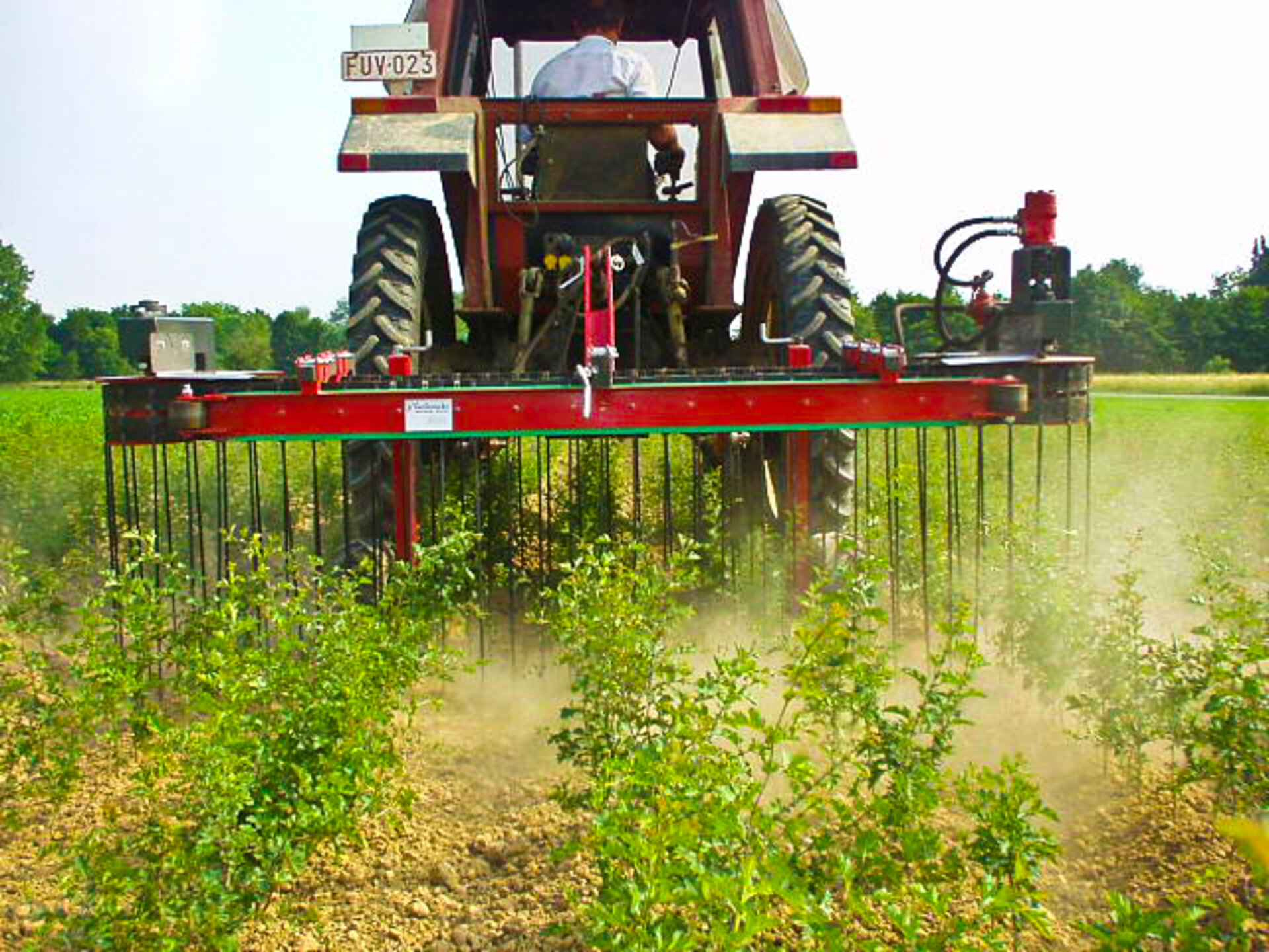 Mechanical weed control