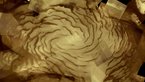 [1/8] Mars north polar ice cap