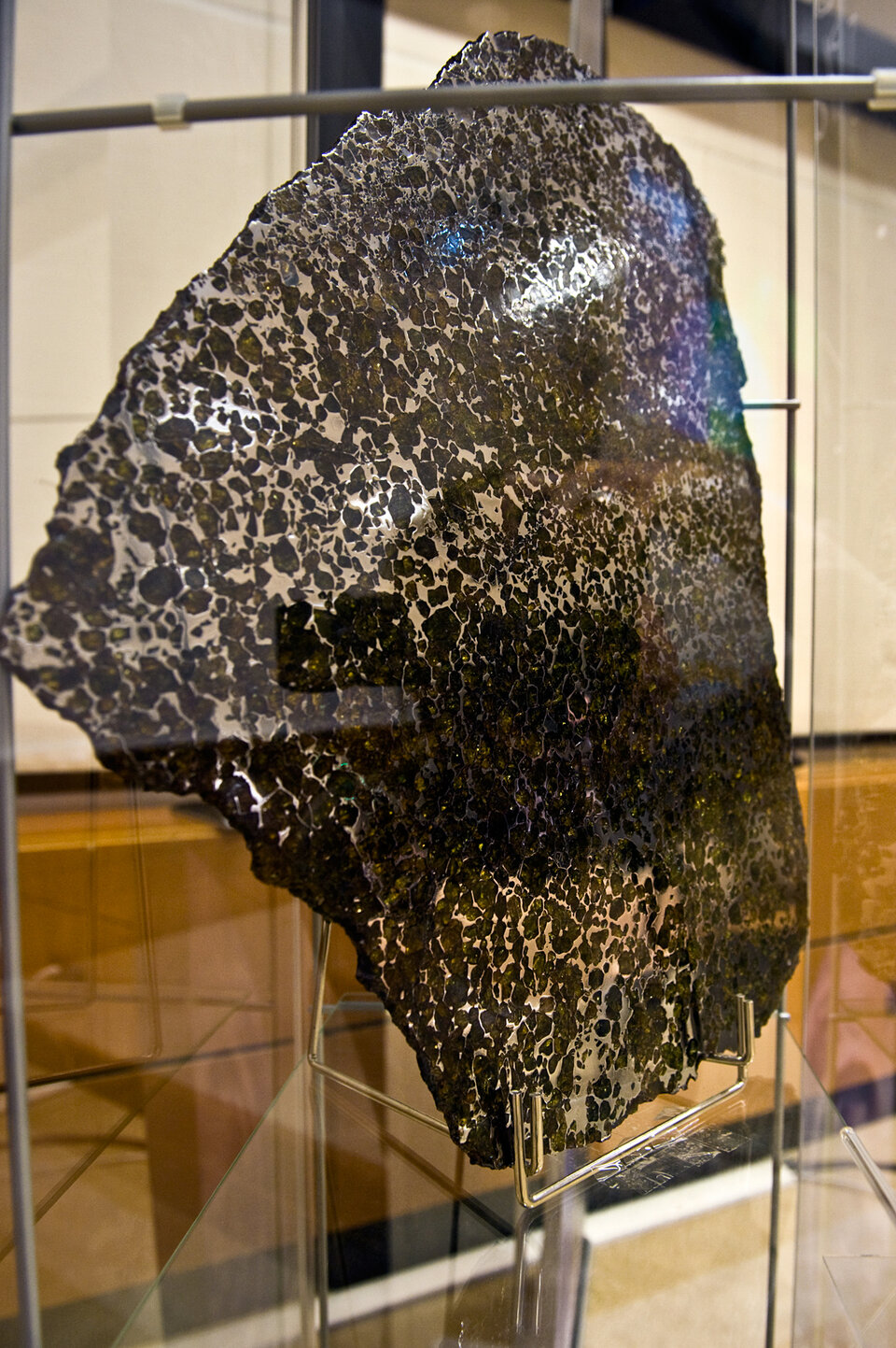 Meteoriti, dal Museo Scienze Planetarie di Prato