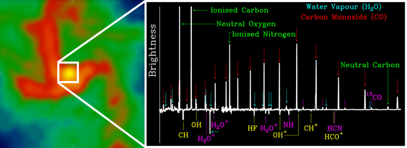 Molecules on the menu at the Milky Way’s black hole