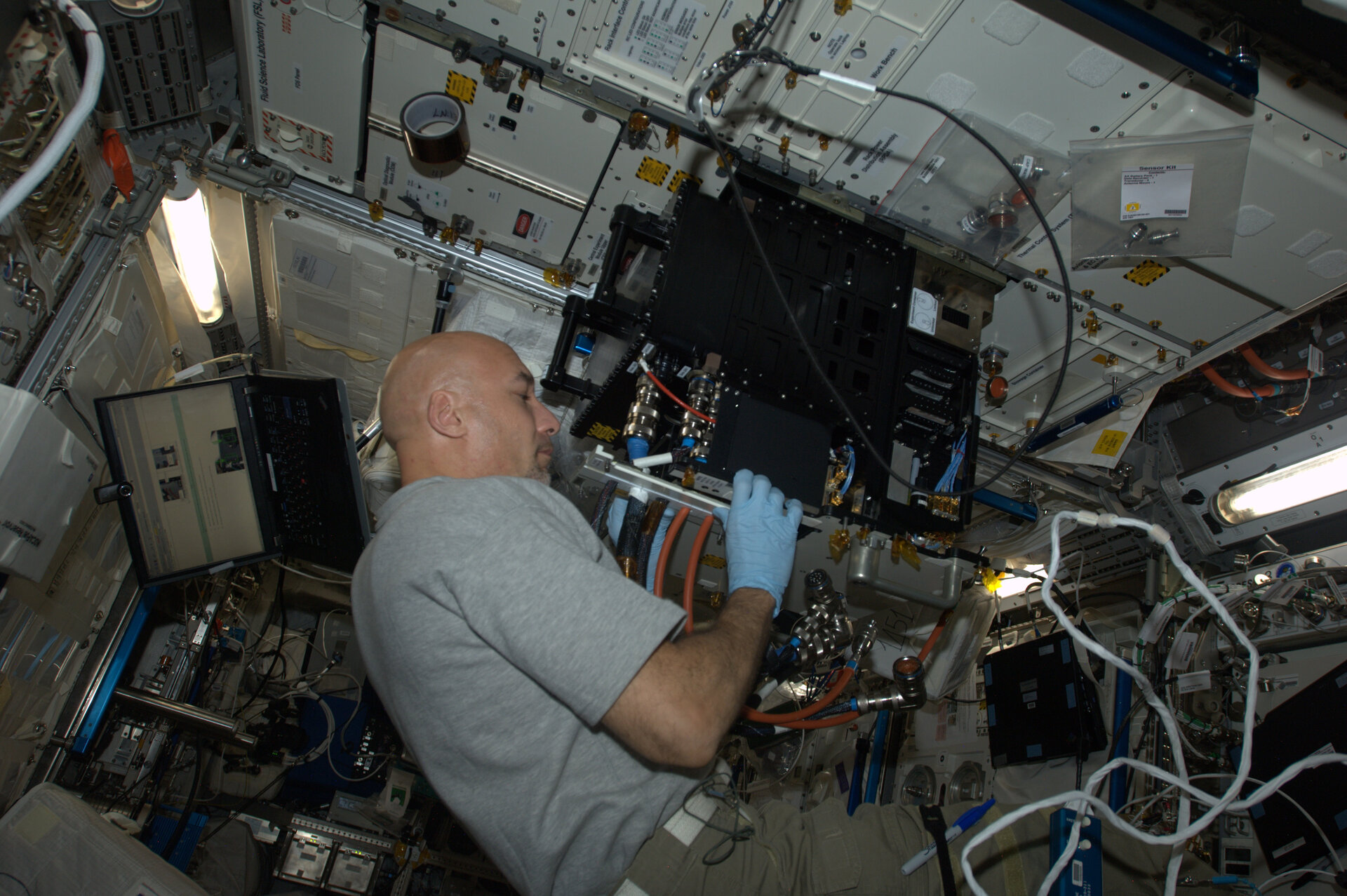 Luca Parmitano installiert die FASES-Box im Fluide Science Laboratory