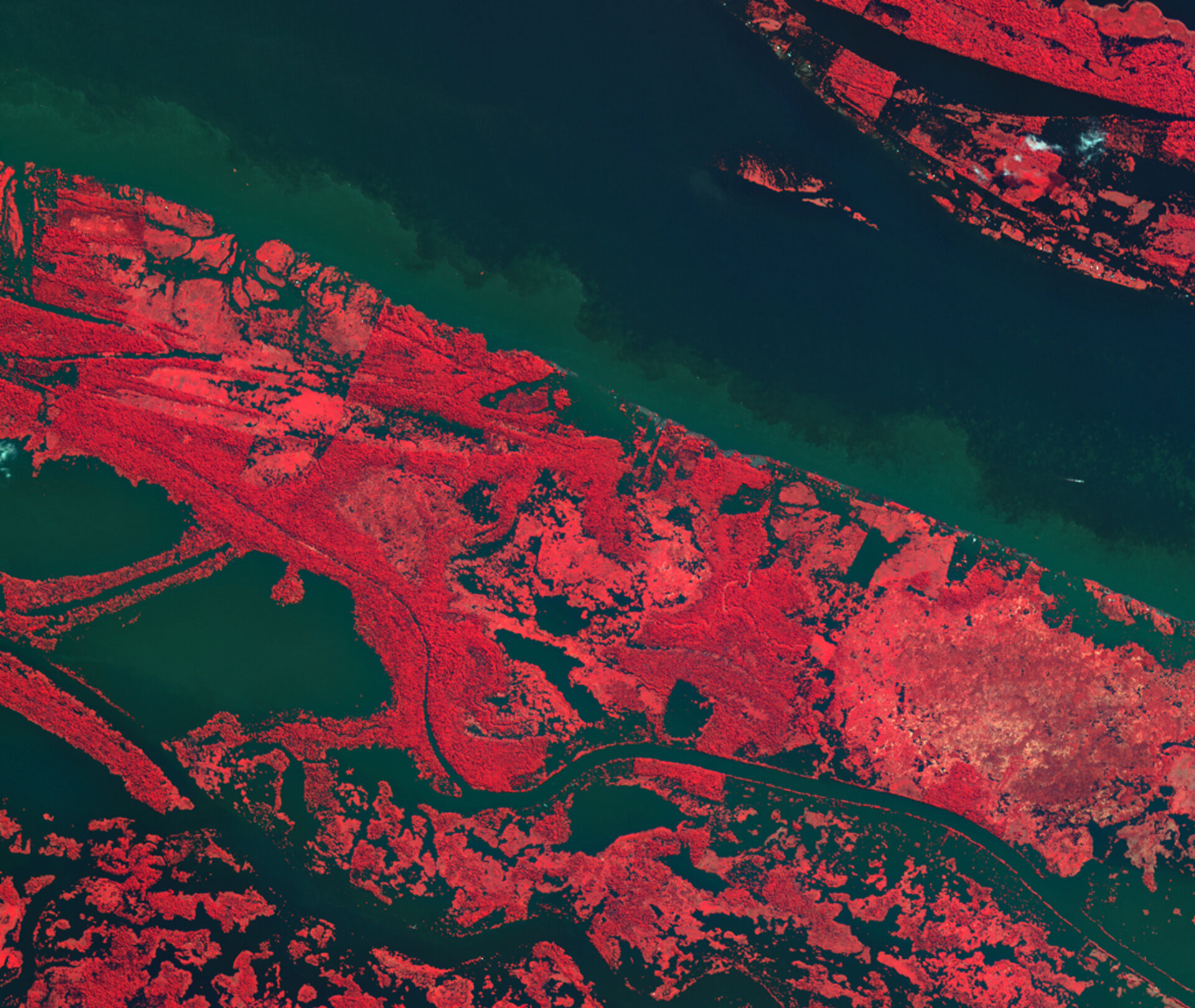 Il Rio delle Amazzoni visto dal satellite Kompsat-2