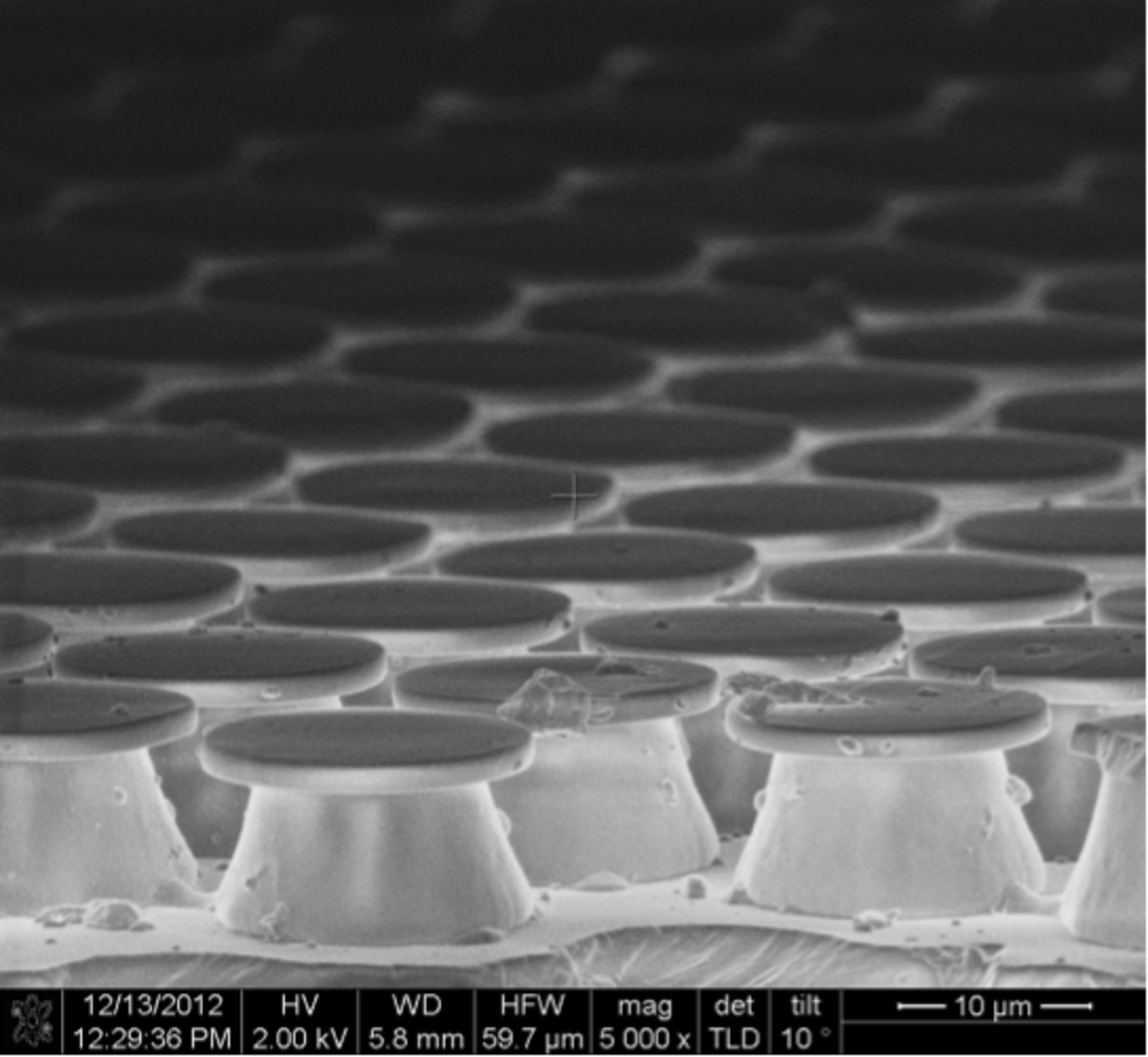 Microscopic view of robot footpad