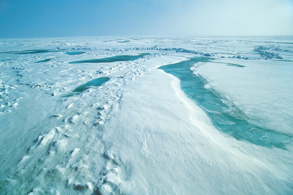 Mořský led
