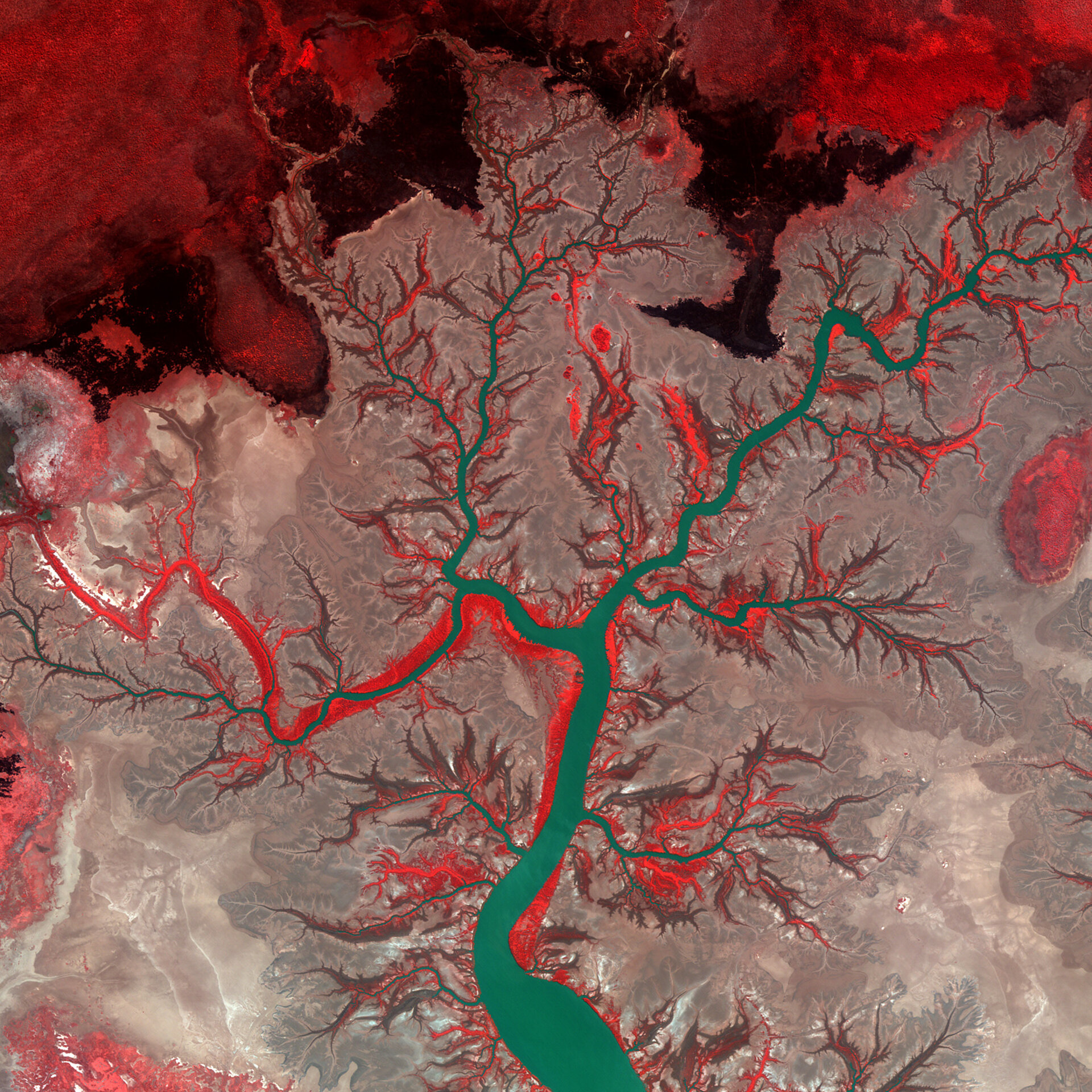 False-colour image of the Kumbunbur Creek in Australia’s Northern Territory