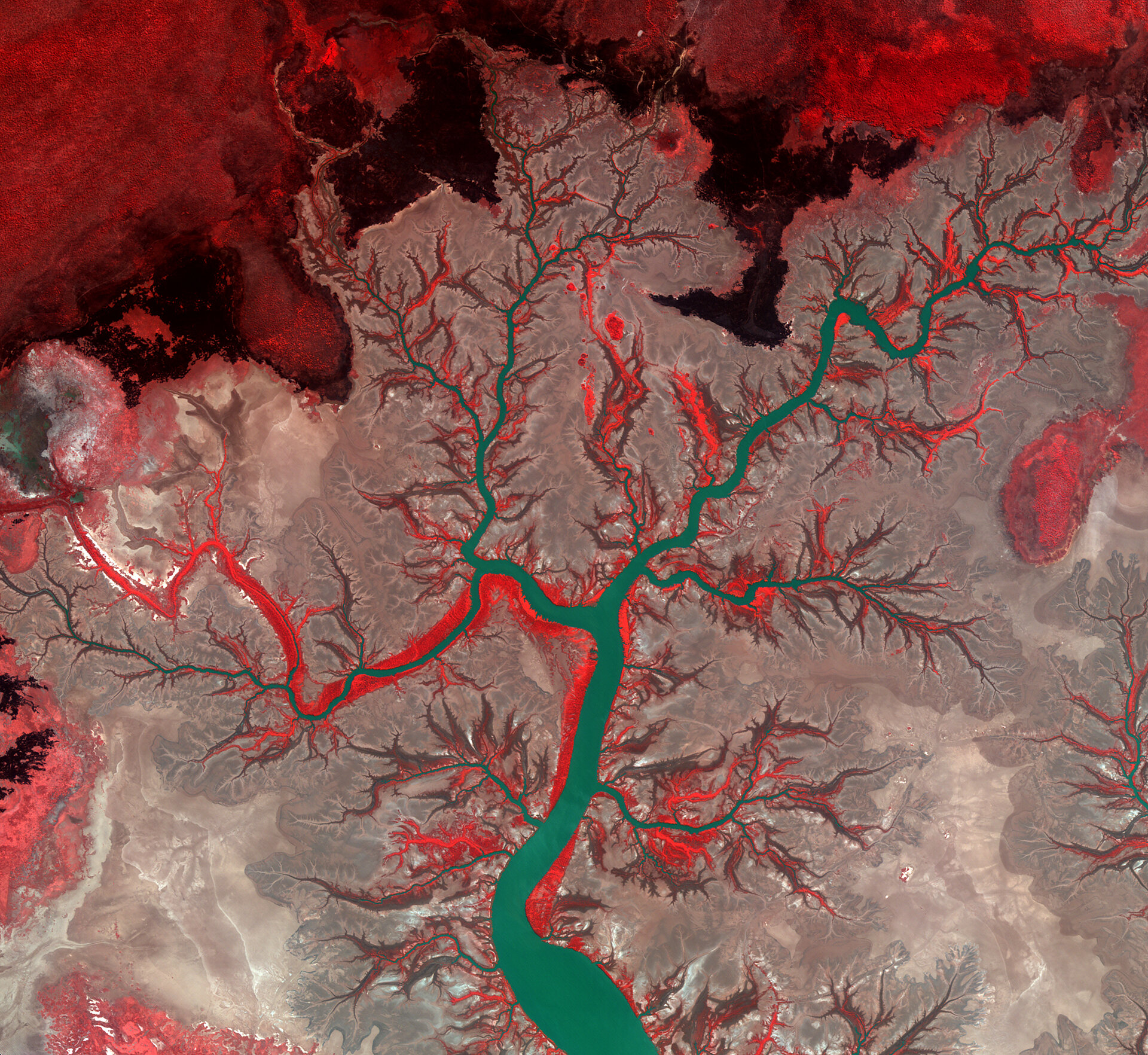 False-colour image of the Kumbunbur Creek in Australia’s Northern Territory