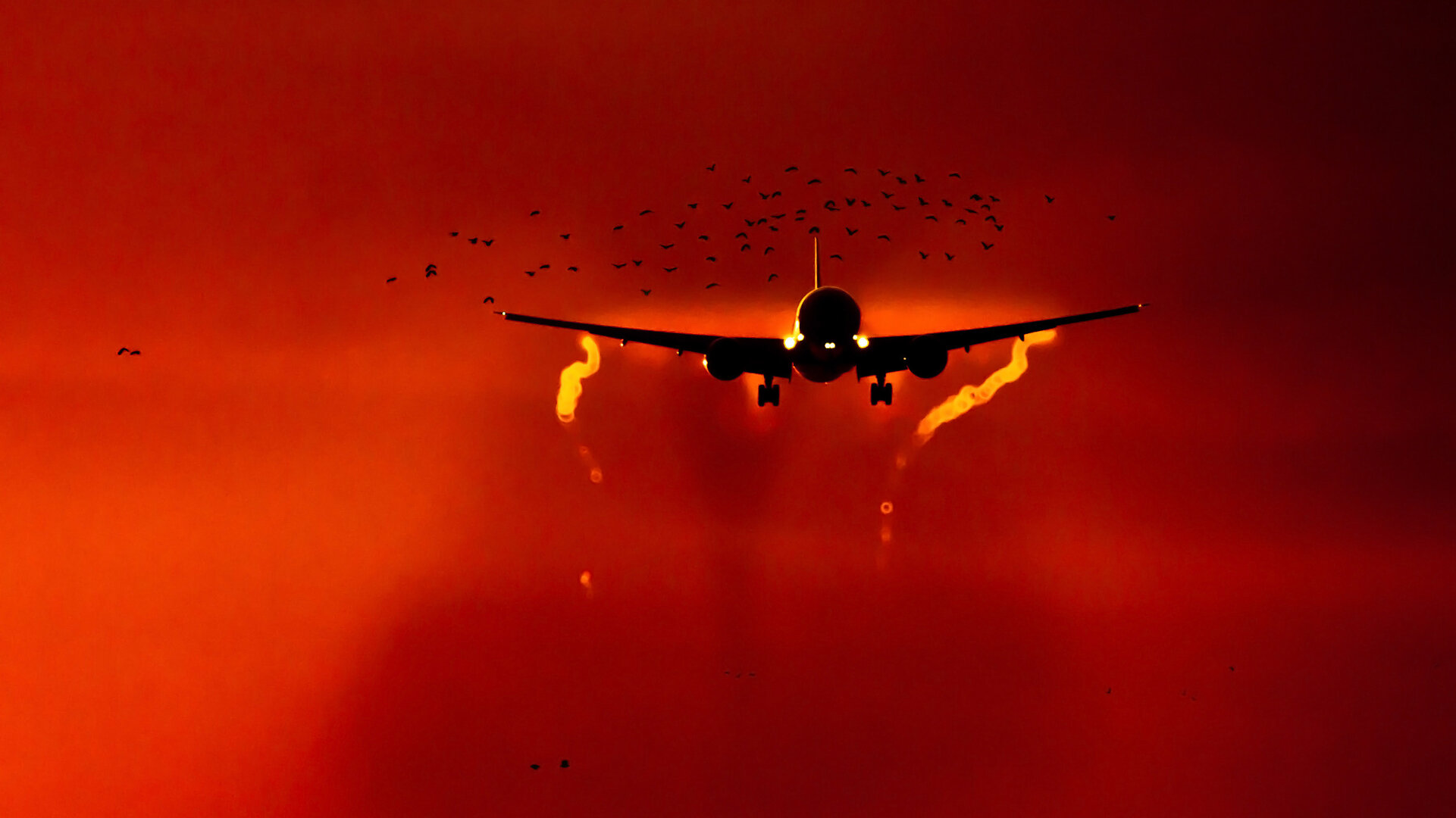 A plane is shown taking off among a flock of birds.