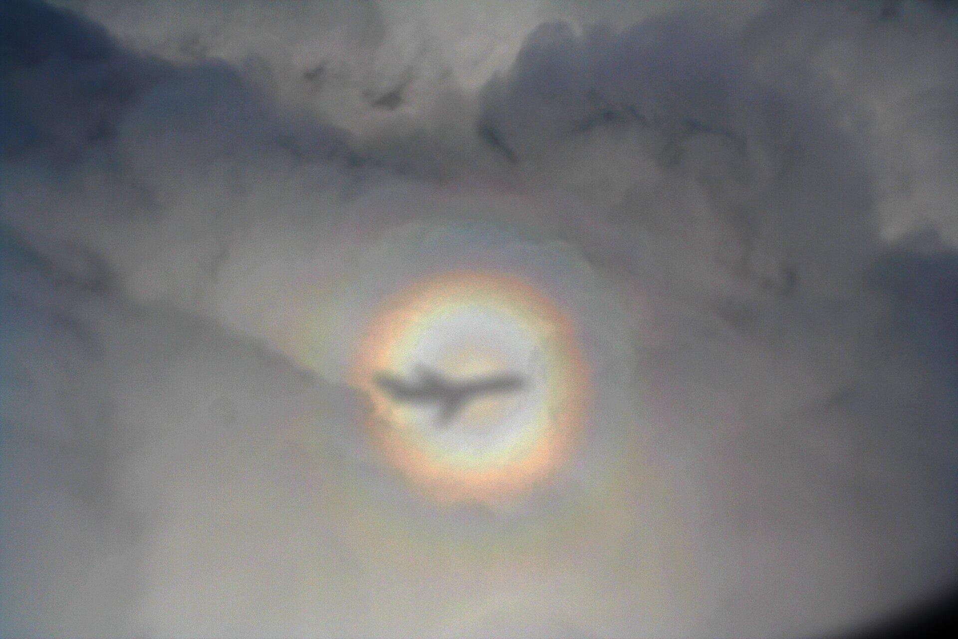 Die Kreise einer irdischen Glorie sehen aus wie ein ringförmiger Regenbogen.  