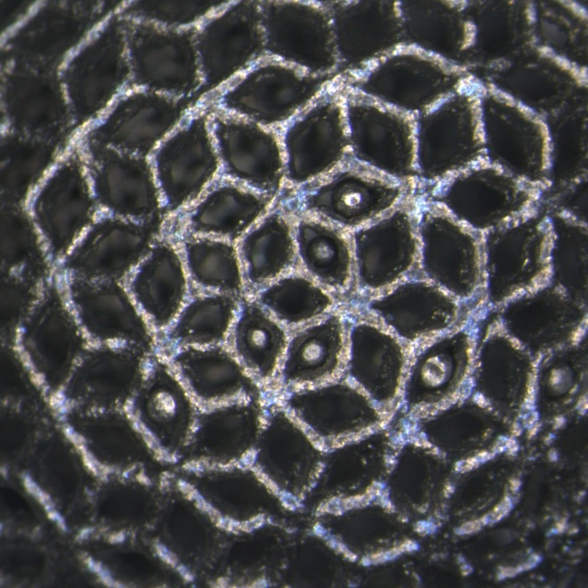 Close-up of 3D-printed titanium lattice ball