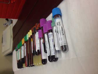 Alexander's blood samples