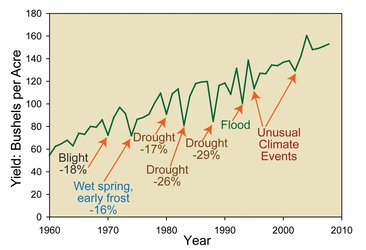 Effect of drought on corn yields