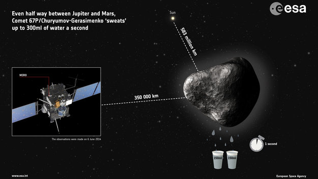 First detection of water vapour