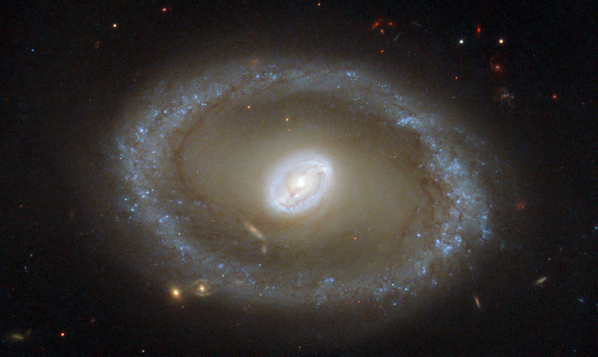 Golden rings of star formation