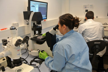 Team AngioGravity analysing cell samples