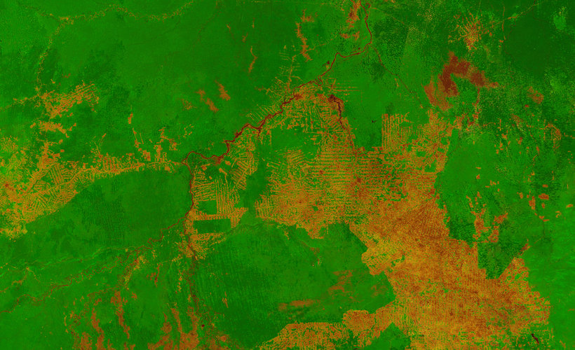 Proba-V image of western Brazil