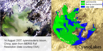 Neue Algorithmen erkennen beim CyanoLake-Service giftige Blaualgen 