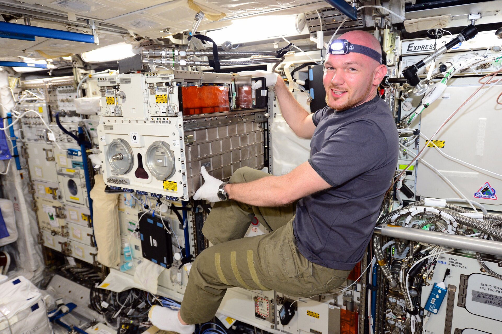 Alexander working with Biolab