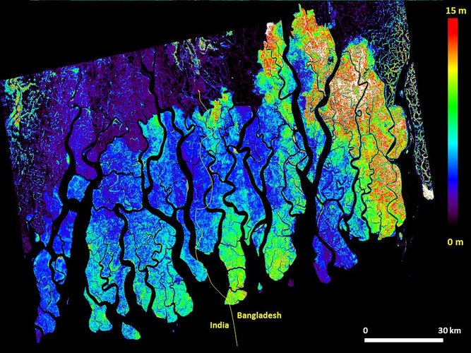 Height of Bangladesh mangrove