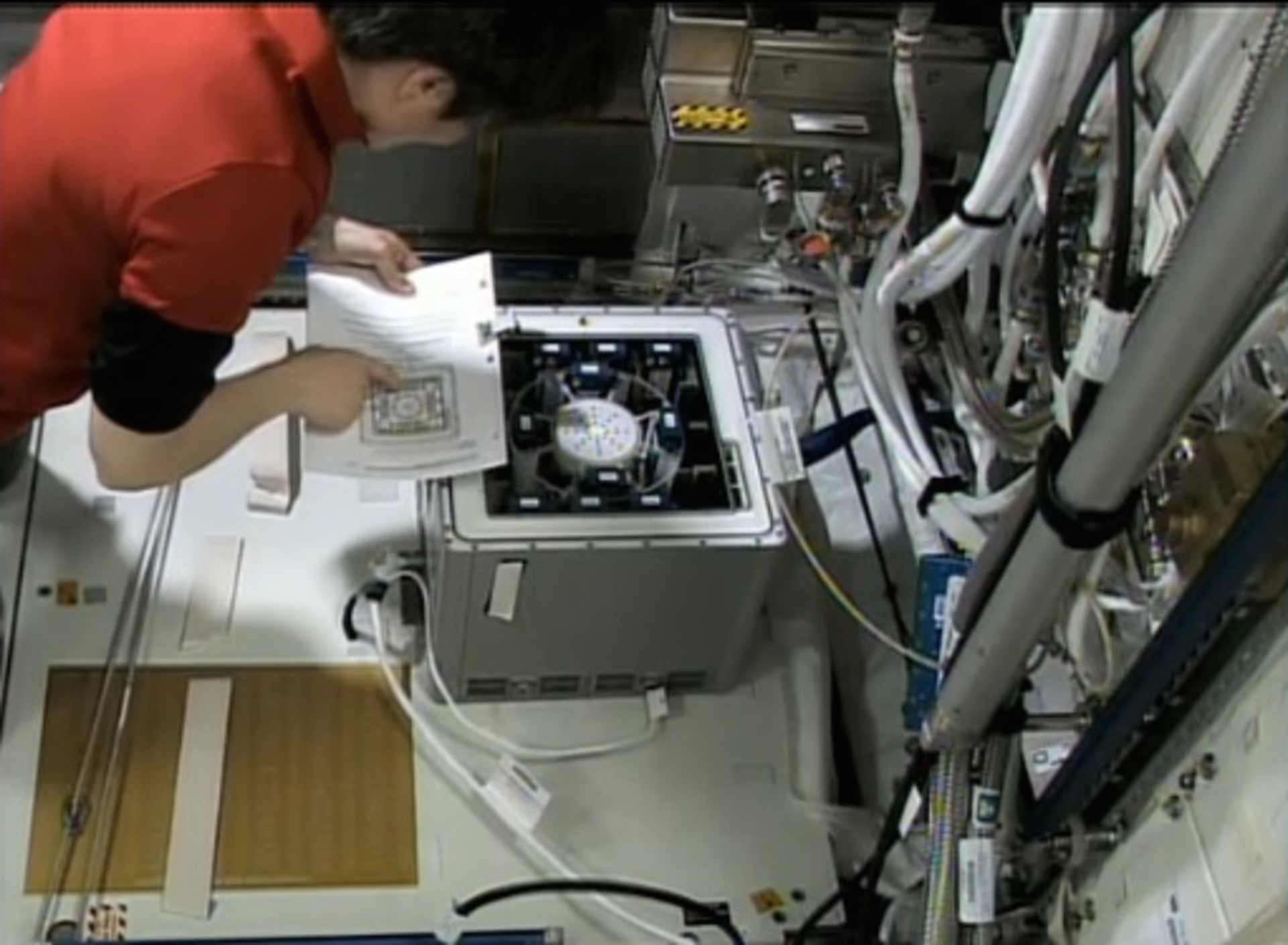 Samantha working on cell experiment