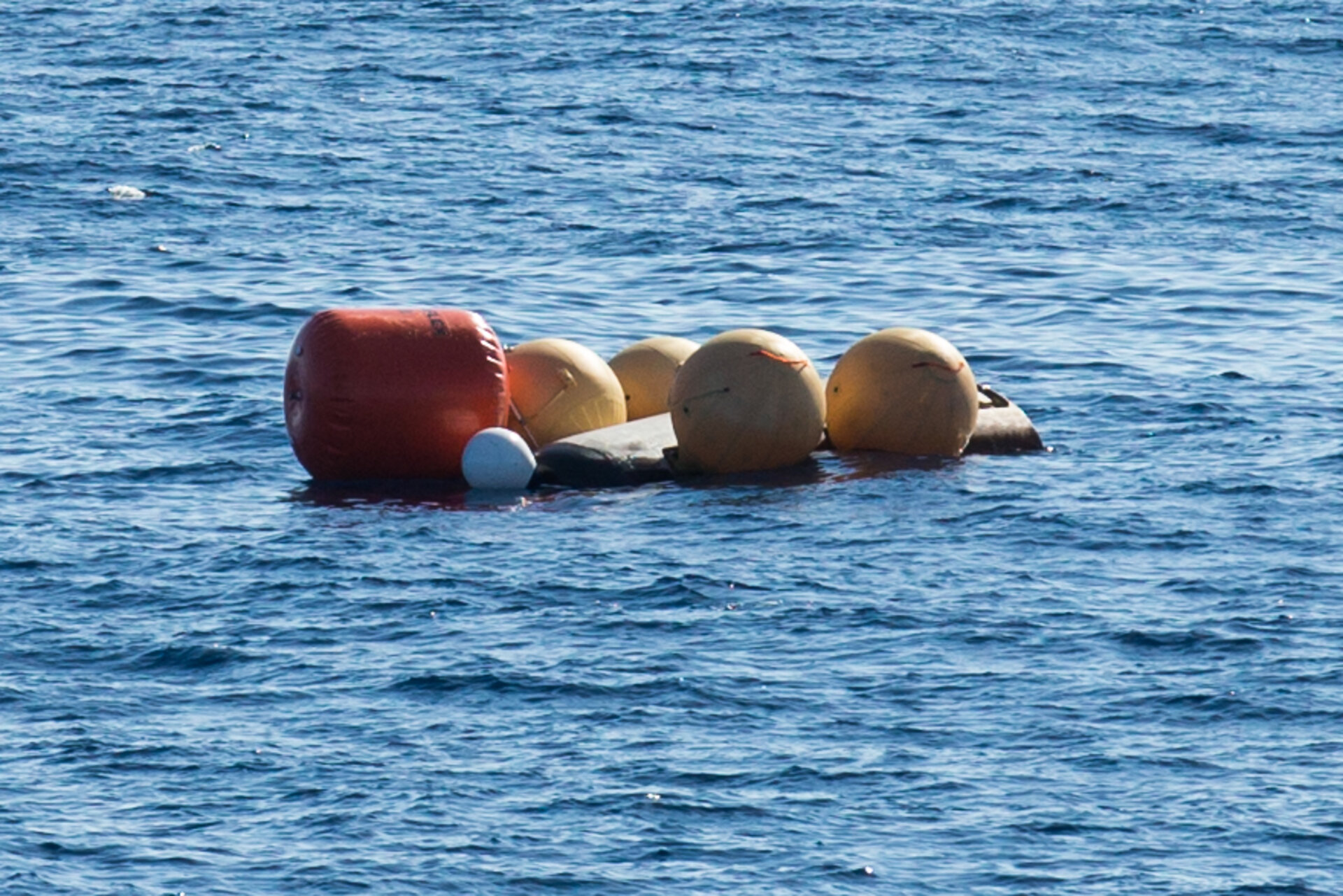 IXV floating and waiting for recovery