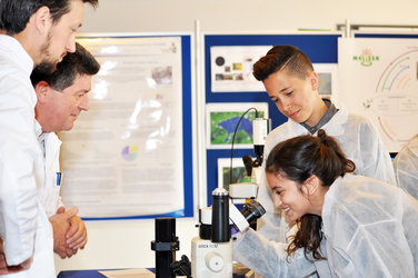 Students visualise live spirulina down the microscope