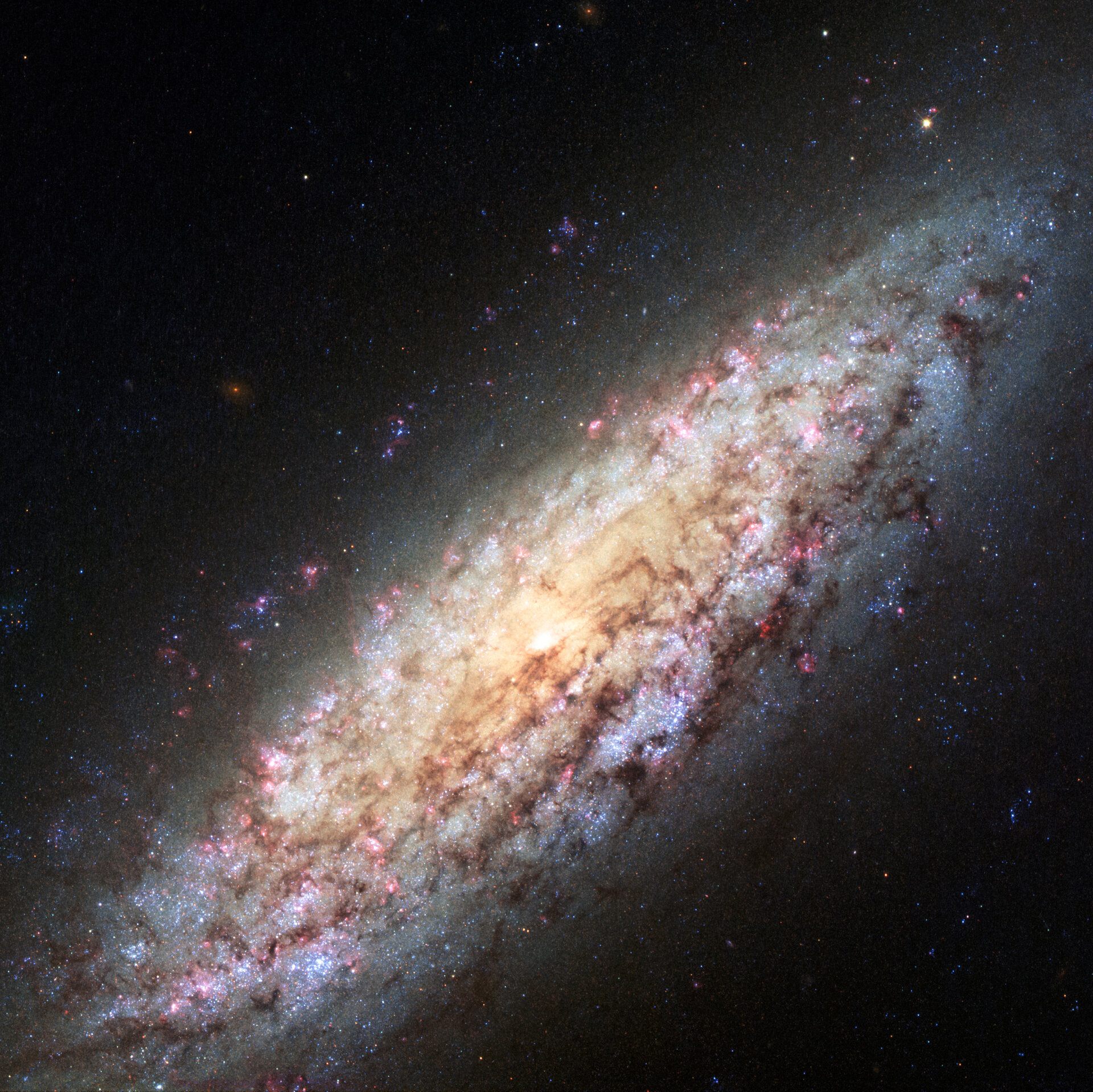Galaxy NGC 6503