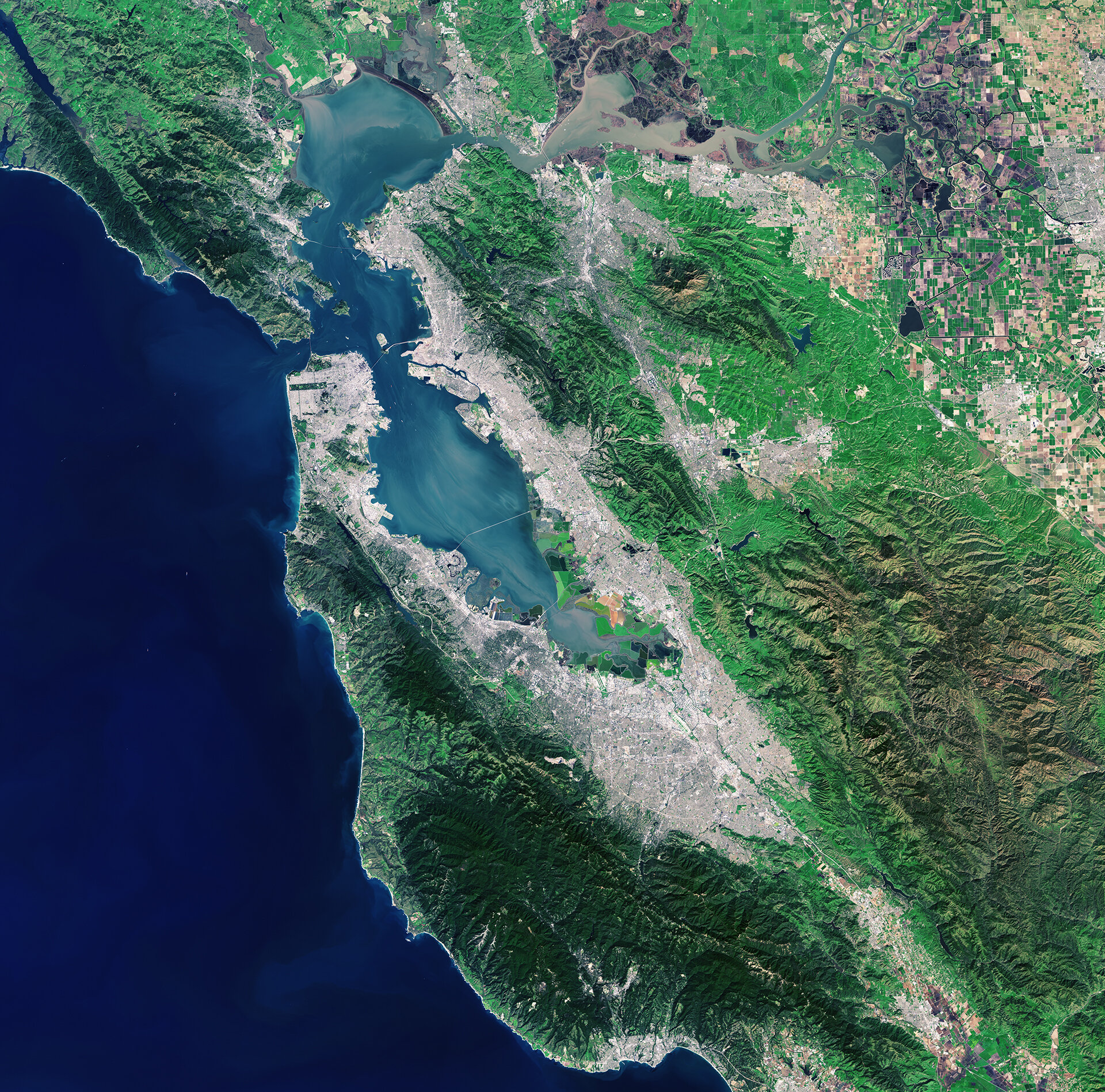 La baia di San Francisco in un'immagine da satellite (Landsat-8)