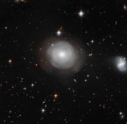 Ghostly galaxy 