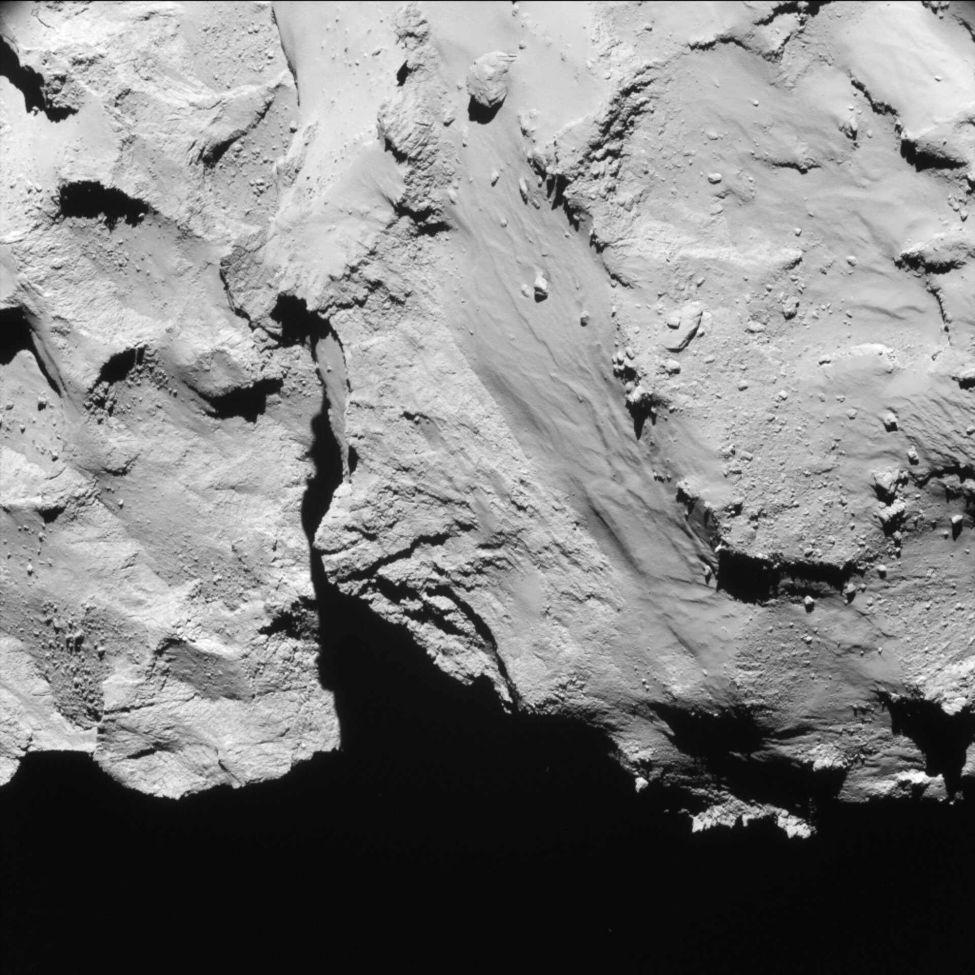 Year at a comet, November 2014
