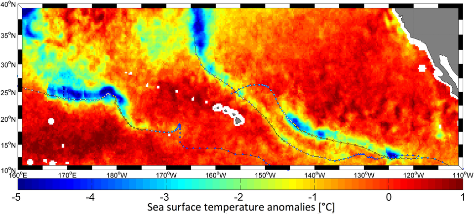 Los huracanes alteran la temperatura de la superficie del mar