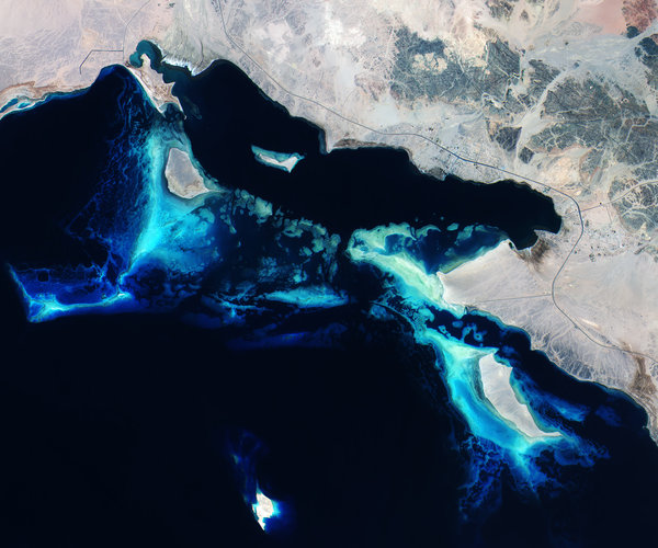 Red Sea reefs