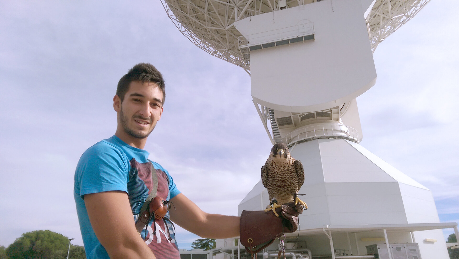 Peregrine falcons help keep Cebreros pristine