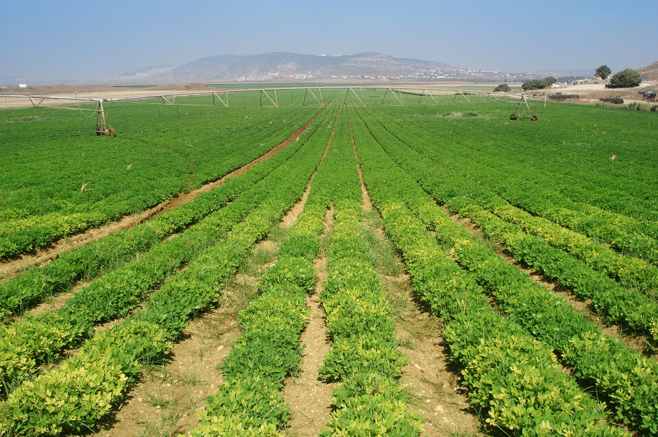 Mapping vegetation health