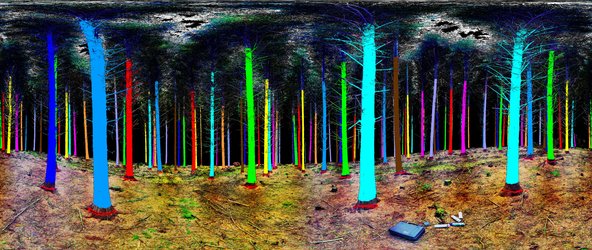 Treemetrics woodland laser scan