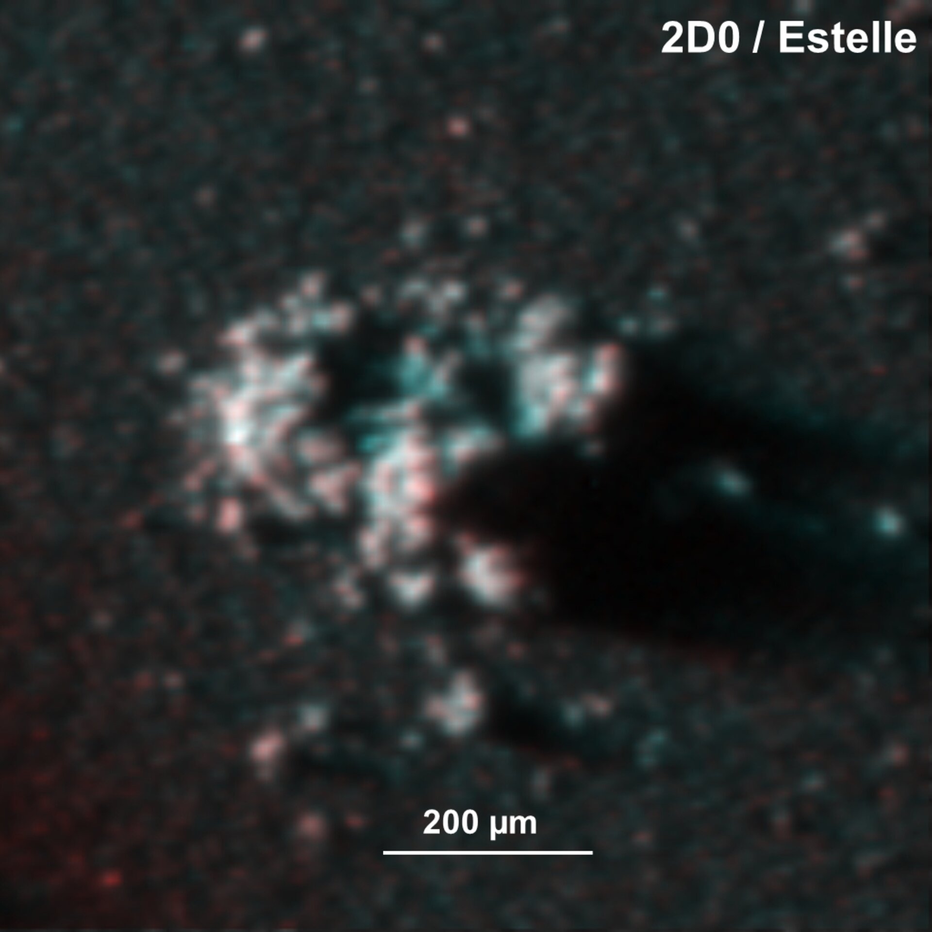 Comet dust – Estelle 3D