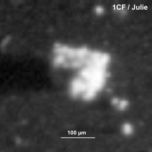 Comet dust – Julie