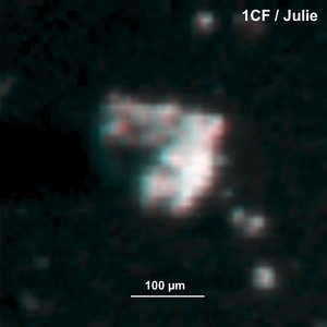 Comet dust – Julie 3D