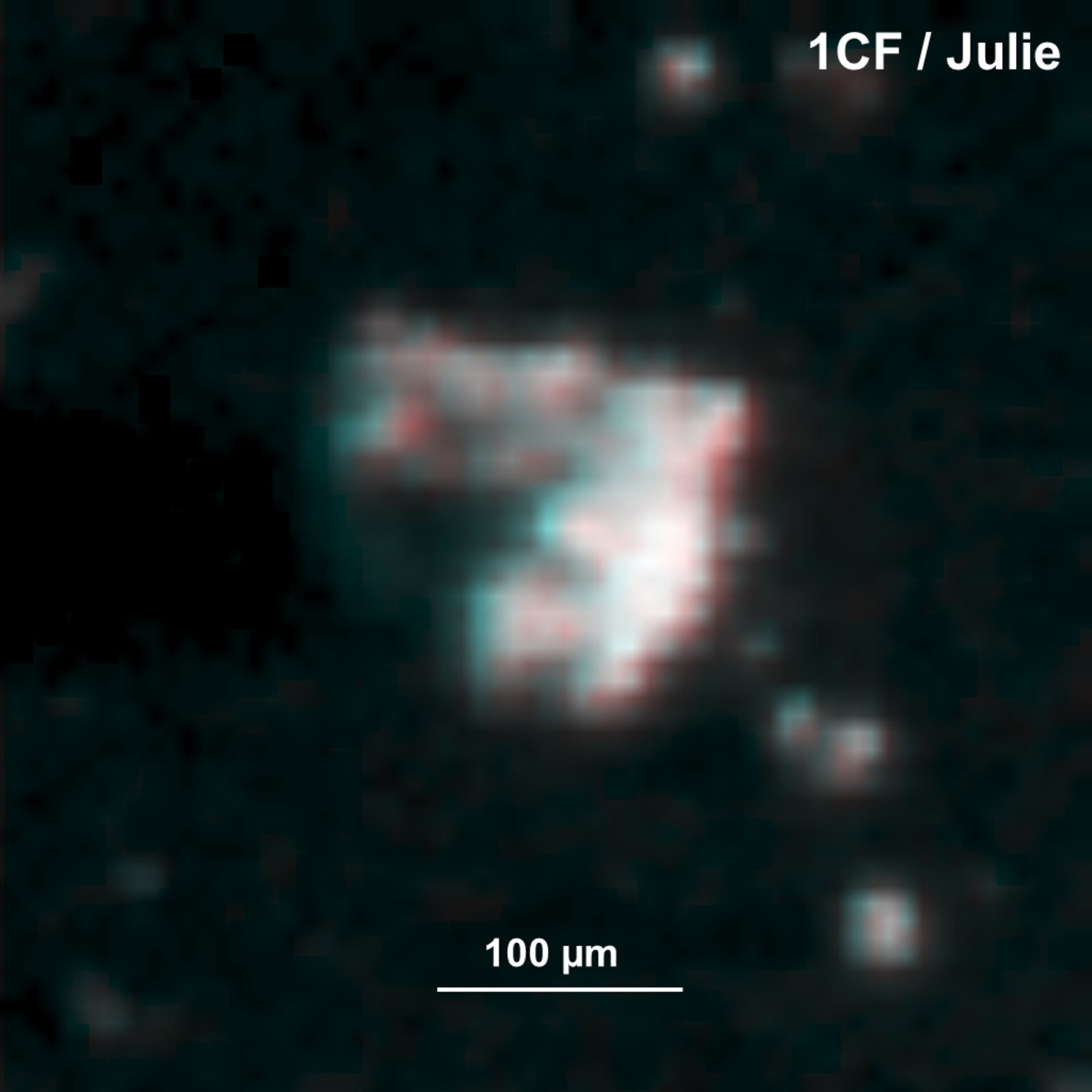 Comet dust – Julie 3D