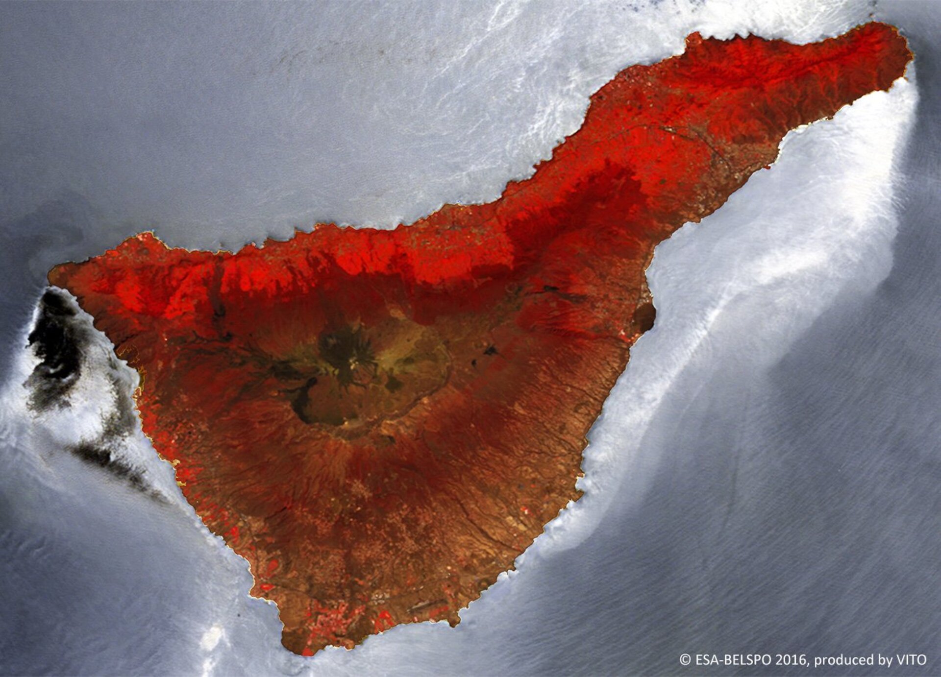 Tenerife imaged by Proba-V