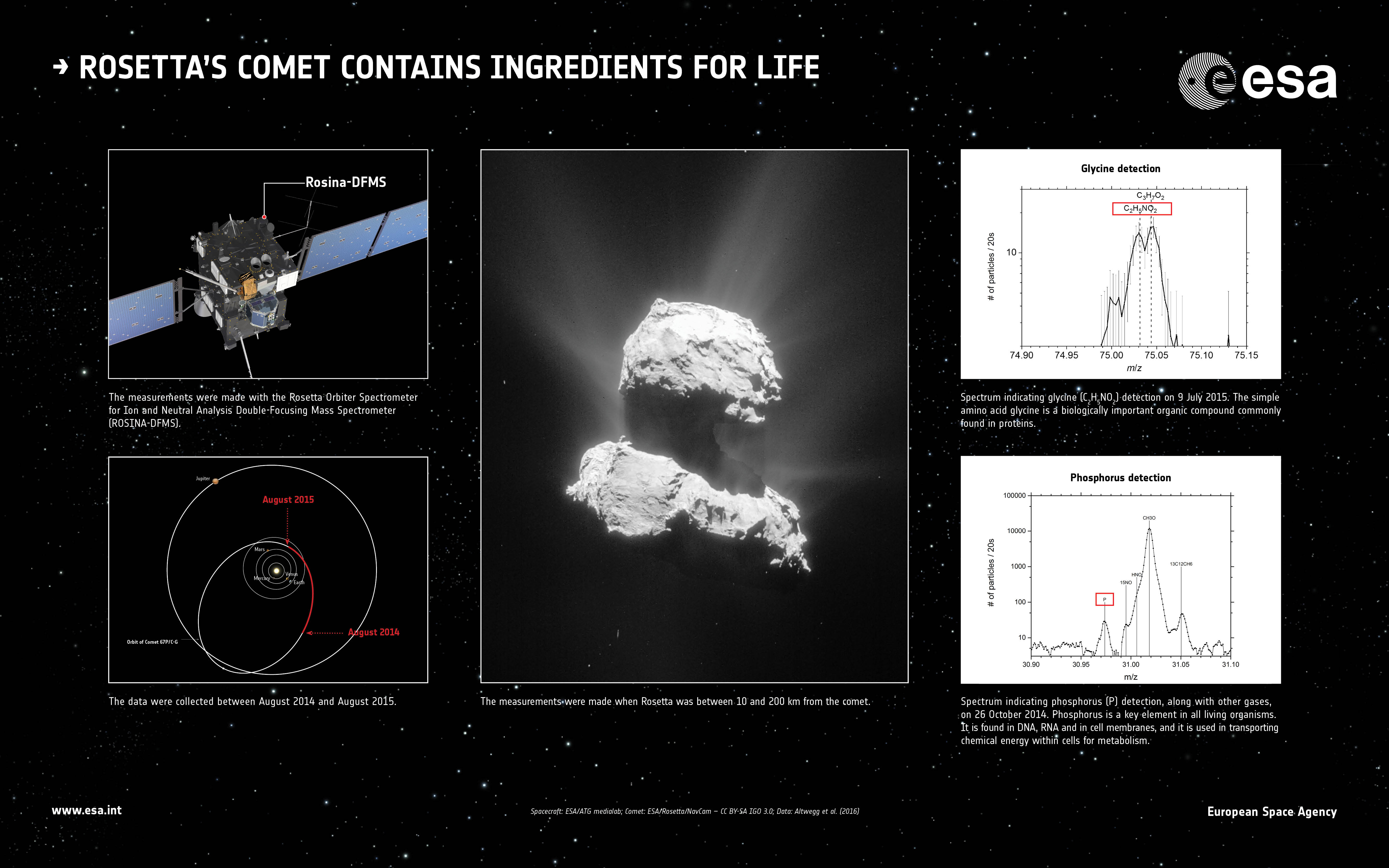 The Rosina-DFMS instrument on Rosetta has detected ingredients considered important for life as we know it on Earth, in the coma of Comet 67P/Churyumov–Gerasimenko.