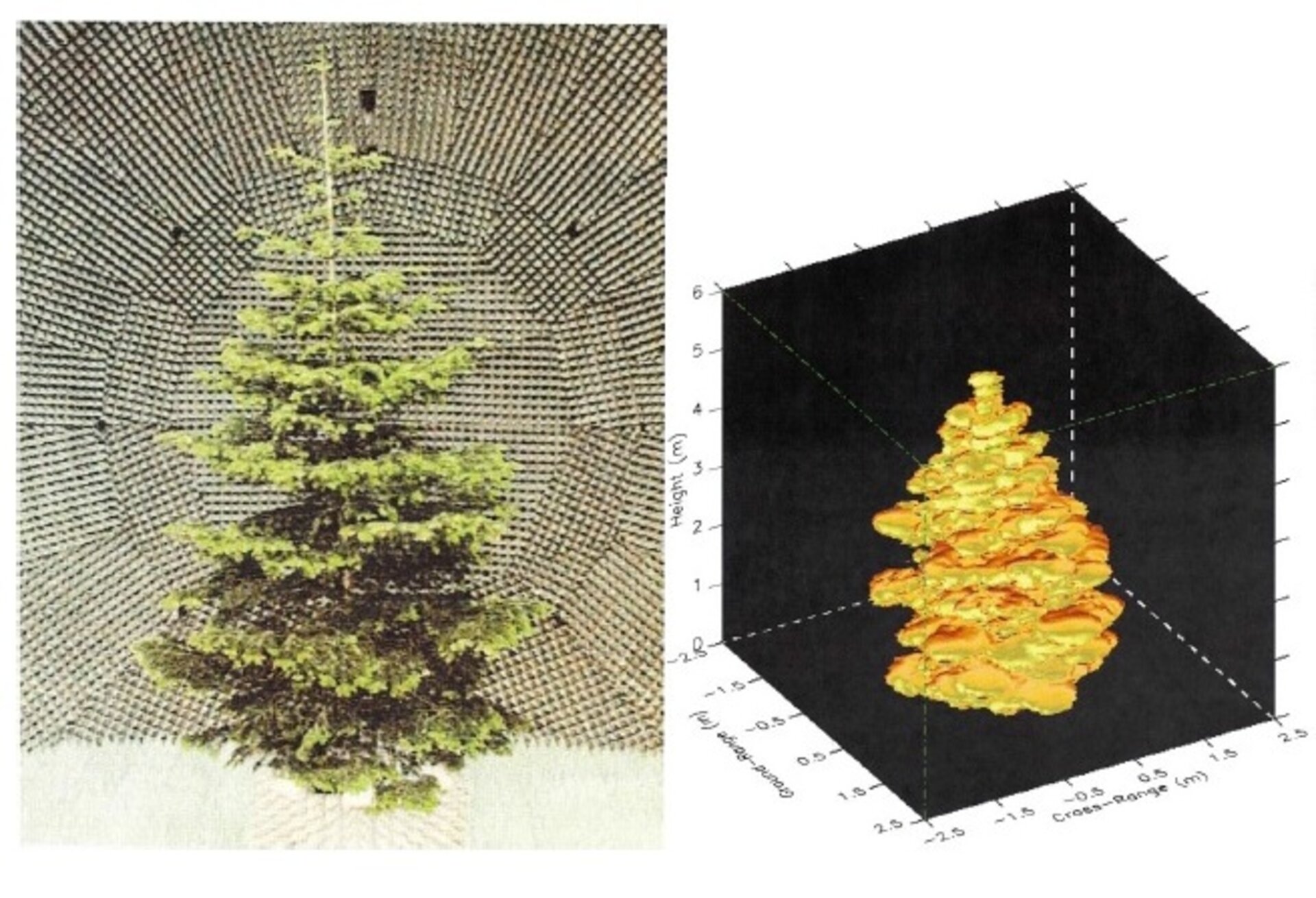 Signal scattering from tree