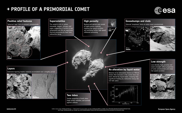El perfil de un cometa primigenio