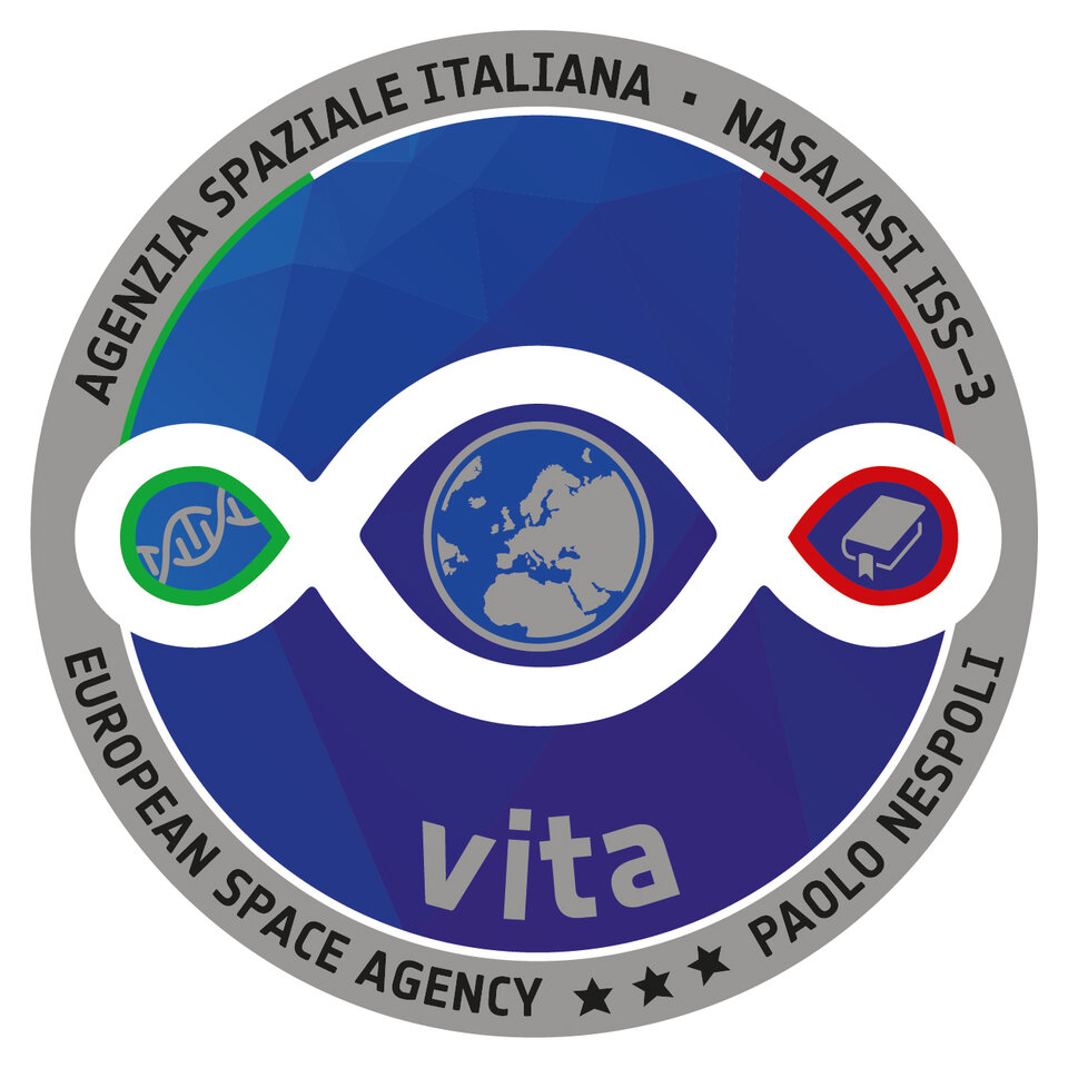 Il logo della missione 
