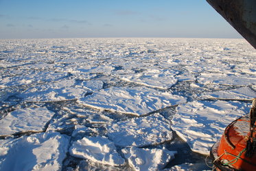 Thin sea-ice 