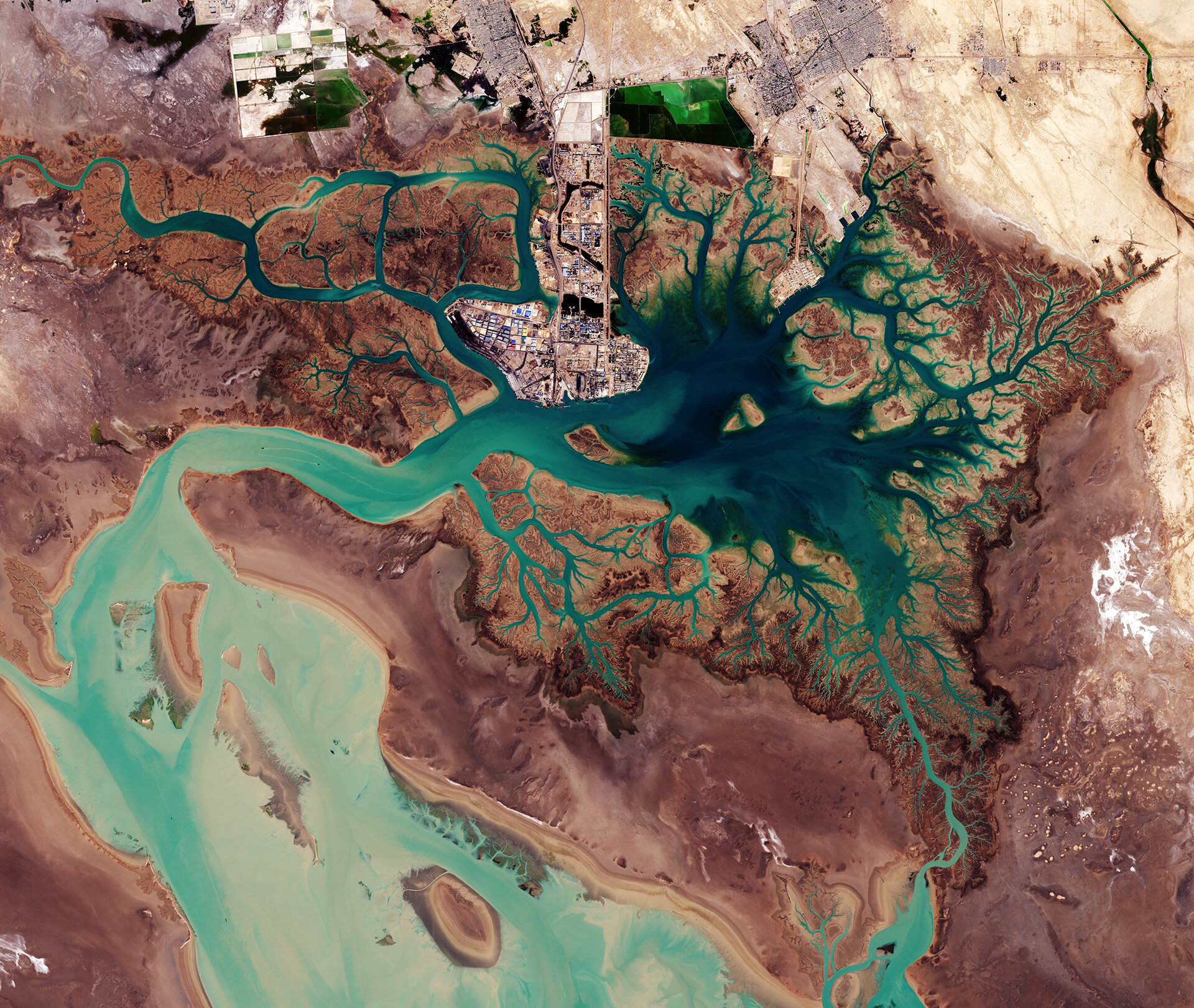 Baia di Musa, Iran - Sentinel-2A